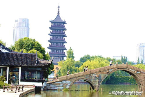 嘉興，不止西塘與烏鎮 詩意江南的別樣打開方式