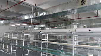 廠房通風降溫環?？照{ 親歷者眼中的高效降溫與綠色轉型